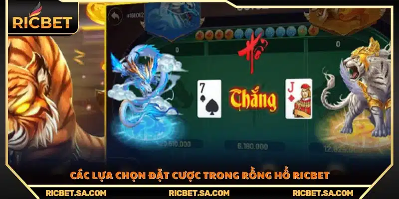 Danh sách những cửa cược phổ biến 